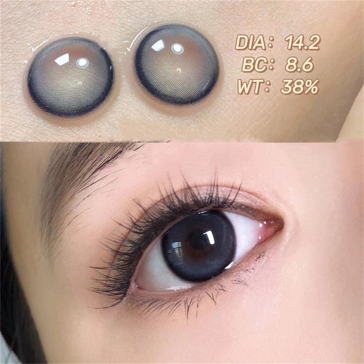 Morningcon Devil Fish Colored Contact Lenses For Eyes Half Yearly 2pcs
