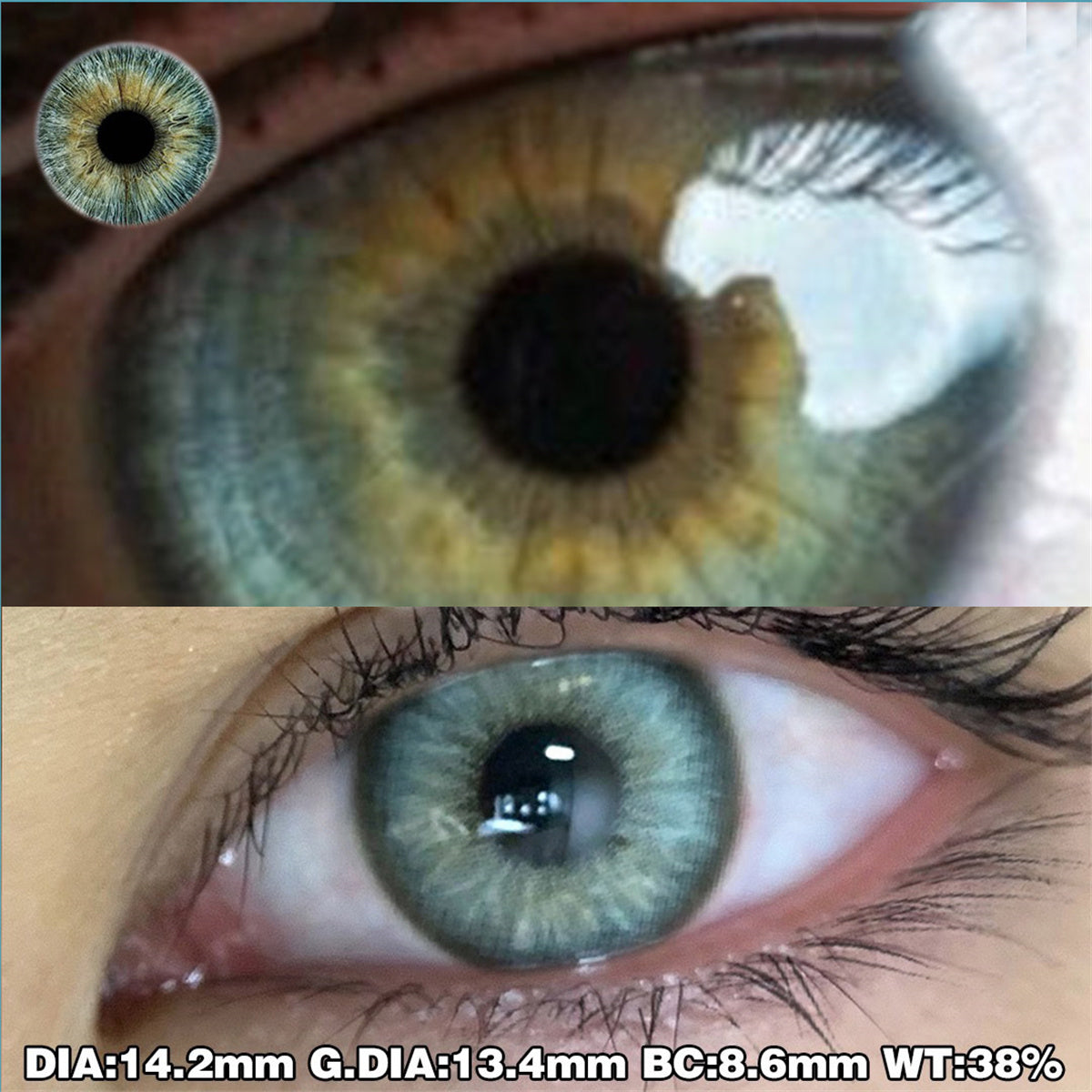 Morningcon Gene Seed Green Colored Contact Lenses For Eyes Half Yearly 2pcs