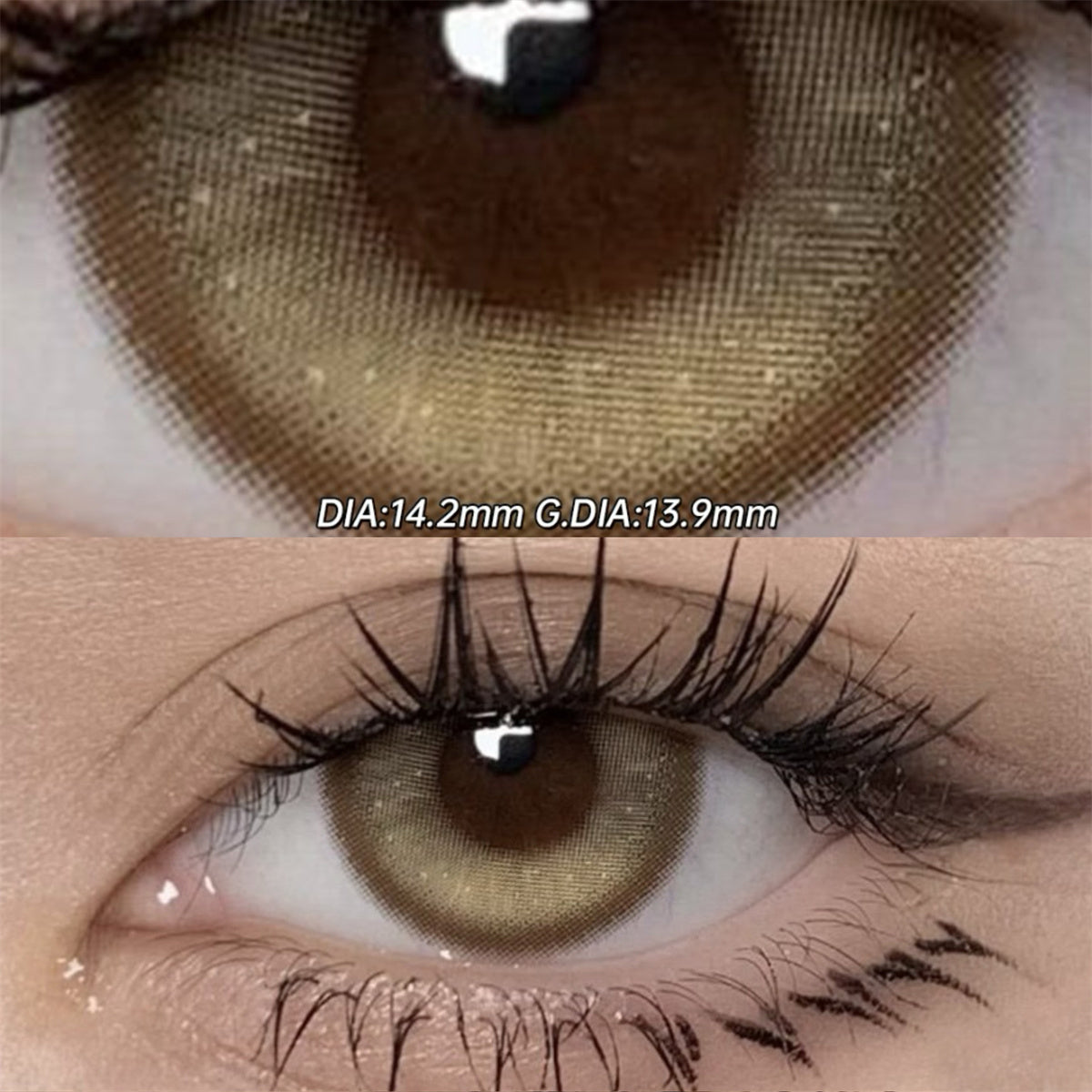 Morningcon San Francisco Colored Contact Lenses For Eyes Half Yearly 2pcs