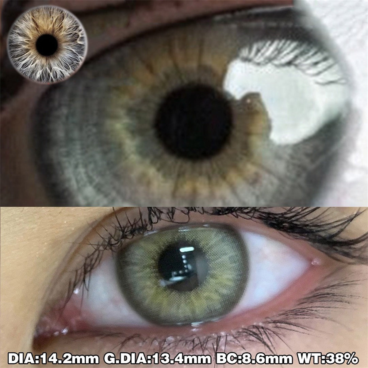 Morningcon Gene Seed Green Colored Contact Lenses For Eyes Half Yearly 2pcs