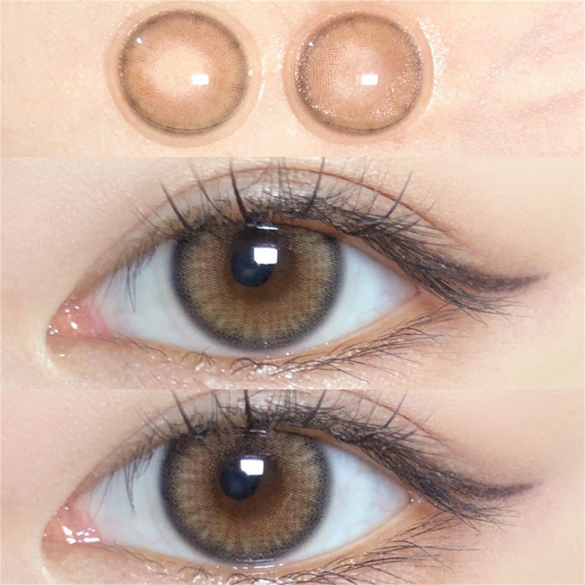 Morningcon Holly Cat Colored Contact Lenses For Eyes Half Yearly 2pcs