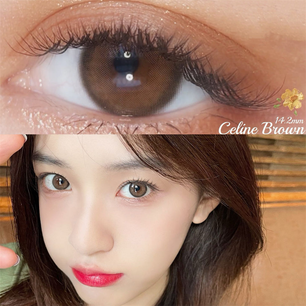 Morningcon Blossom honey Colored Contact Lenses For Eyes Half Yearly 2pcs