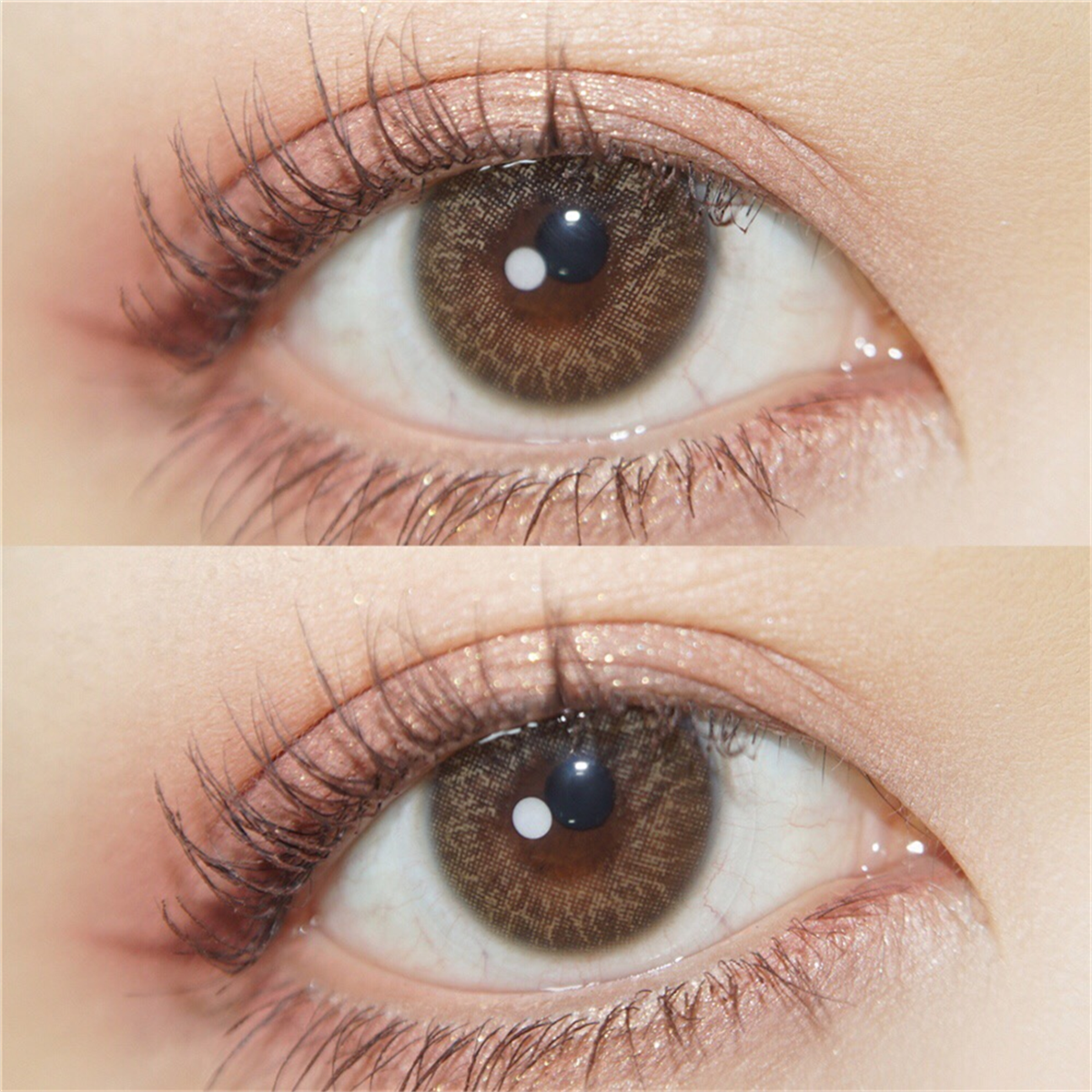 Morningcon Iris Colored Contact Lenses For Eyes Half Yearly 2pcs