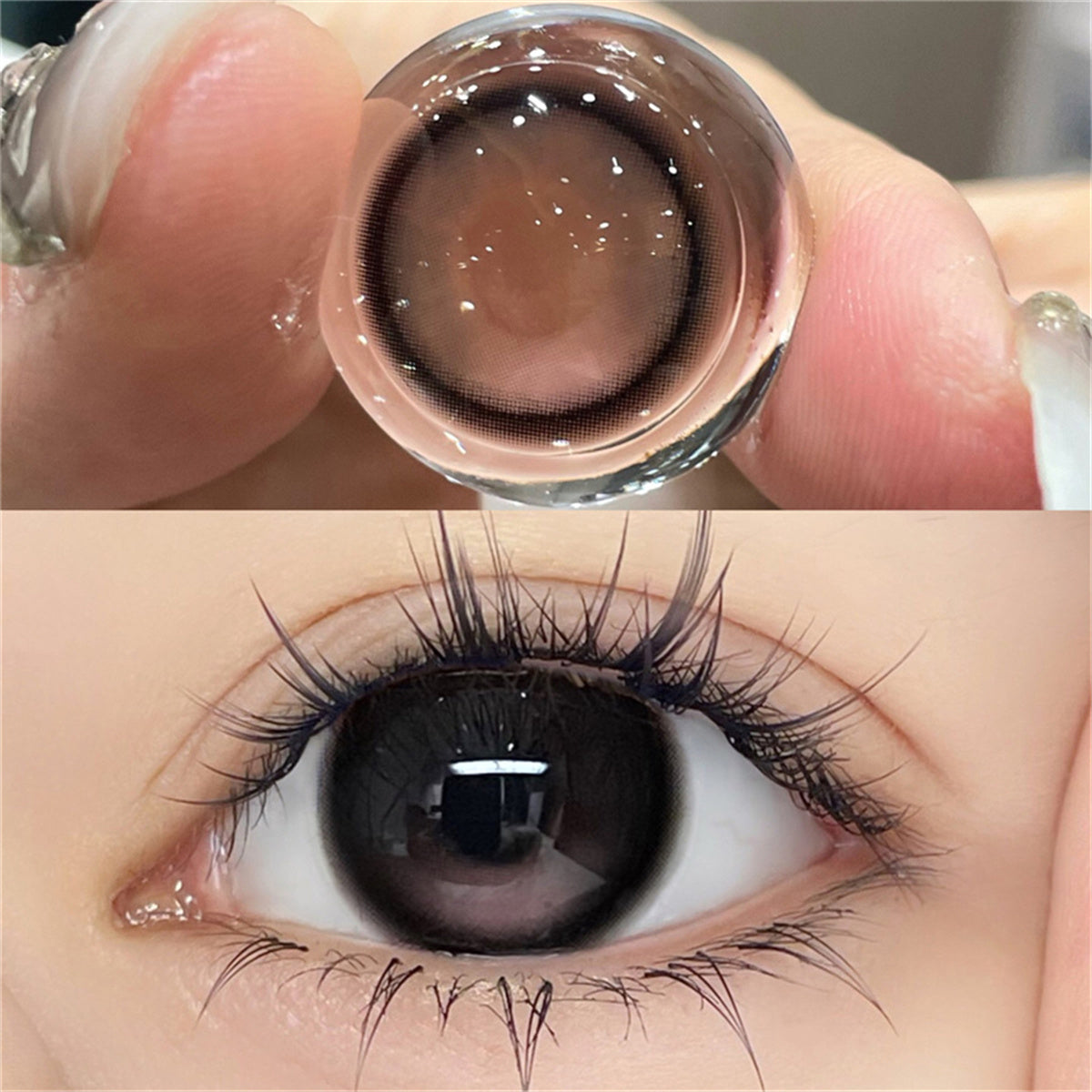Morningcon Little Blush Colored Contact Lenses For Eyes Half Yearly 2pcs