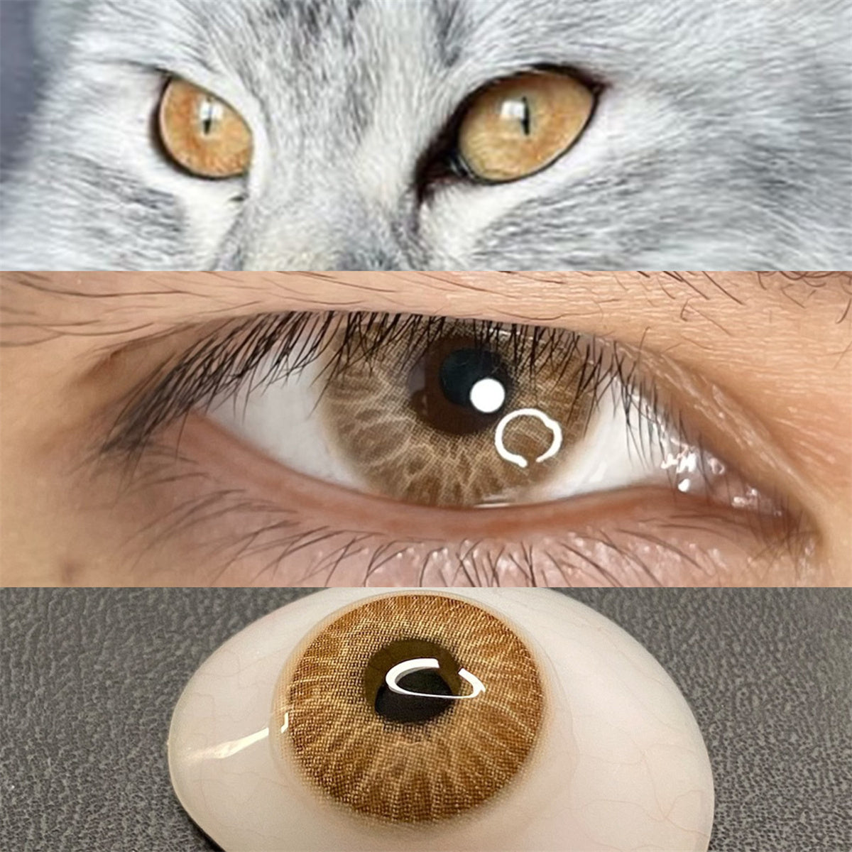 Morningcon Medusa Ash Colored Contact Lenses For Eyes Half Yearly 2pcs