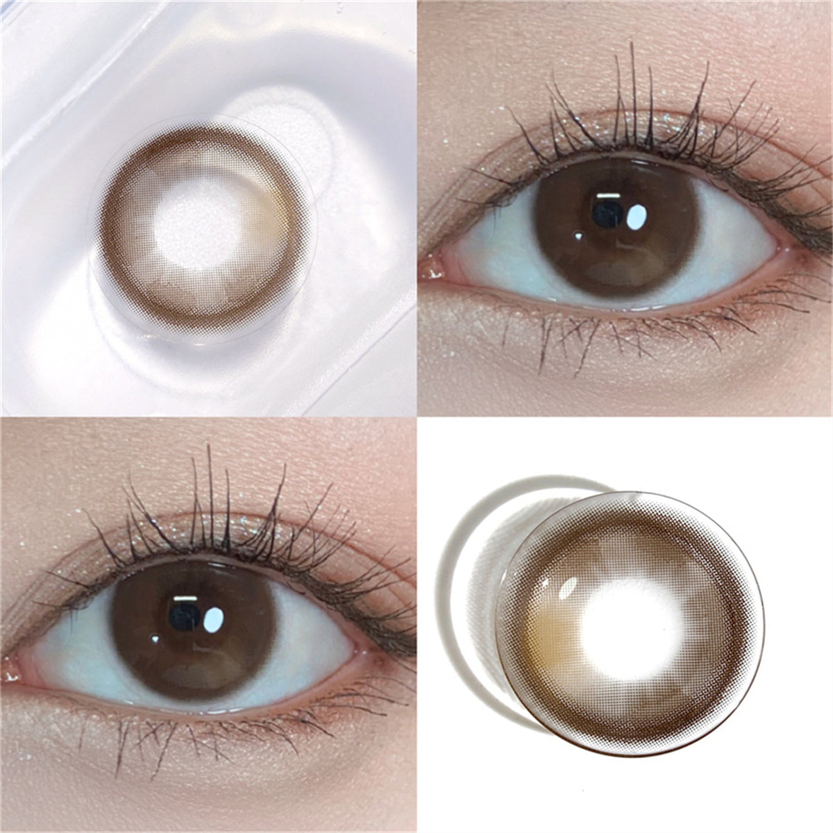 Morningcon Little Blush Colored Contact Lenses For Eyes Half Yearly 2pcs