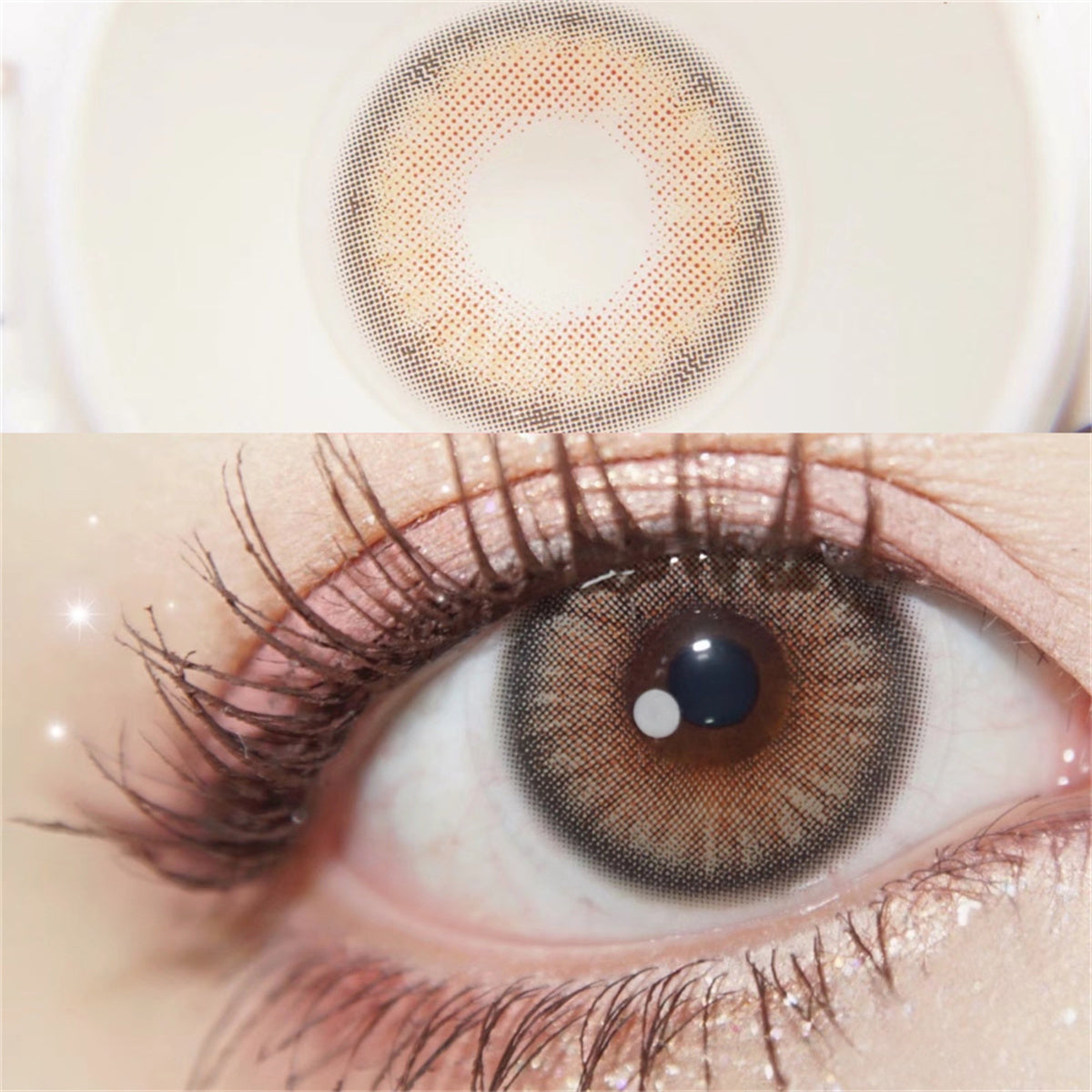 Morningcon Holly Cat Colored Contact Lenses For Eyes Half Yearly 2pcs