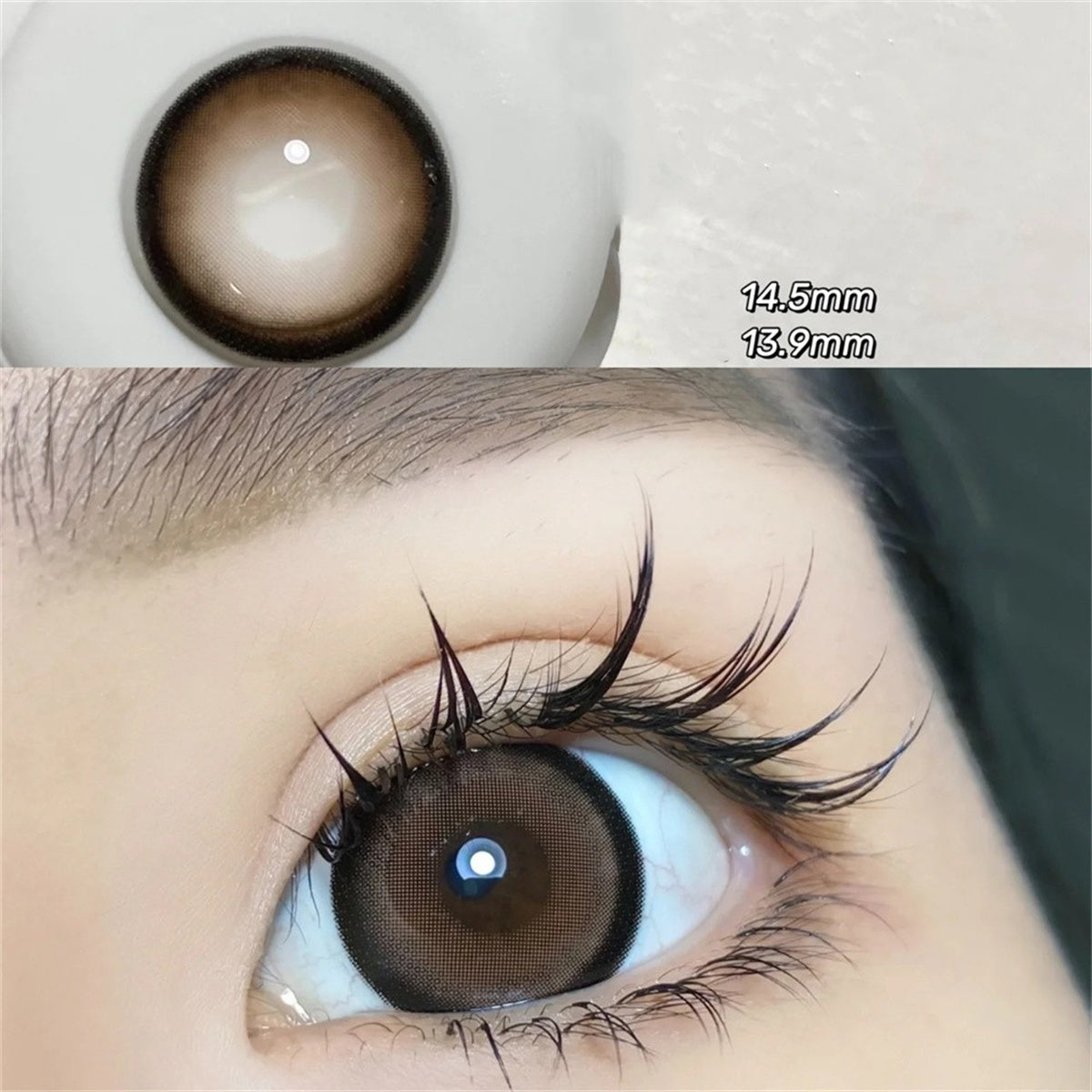 Morningcon Iced Black Tea Brown Colored Contact Lenses For Eyes Half Yearly 2pcs