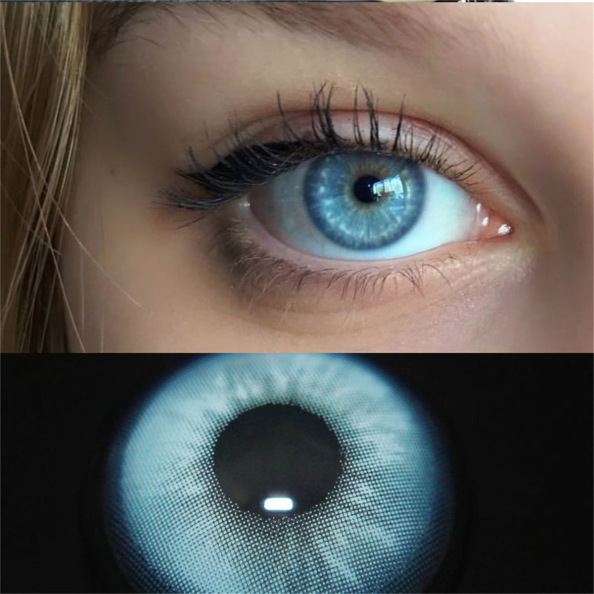 Taylor Blue Gray Colored Contact Lenses For Eyes Half Yearly 2pcs